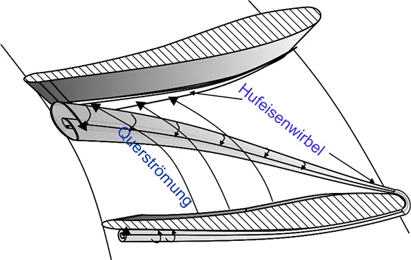 Hufeisenwirbel